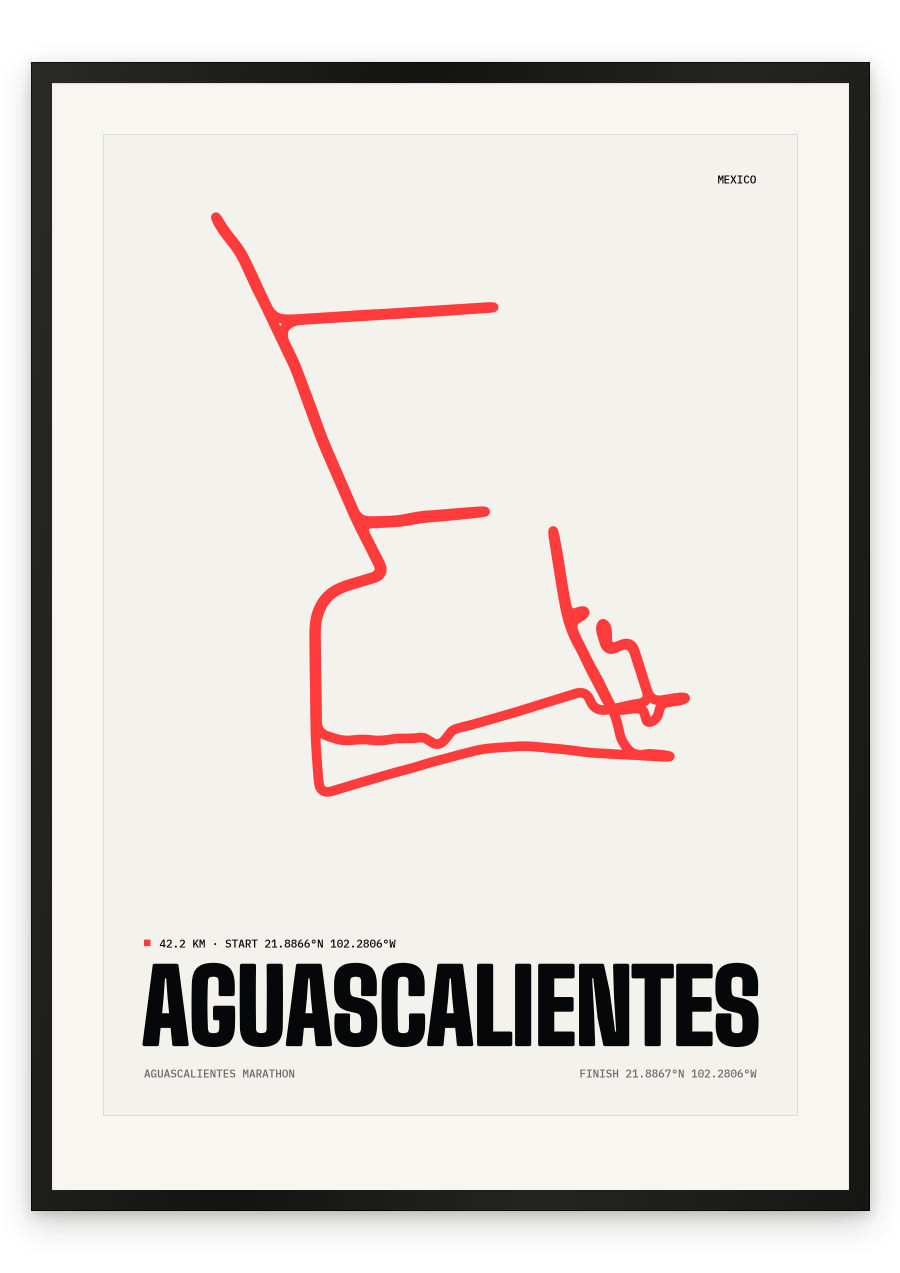 Aguascalientes Marathon — Paper, dot line